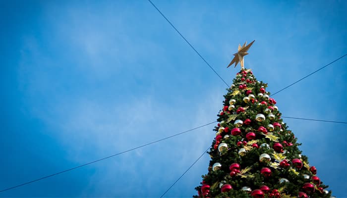 Large Christmas Tree with Star