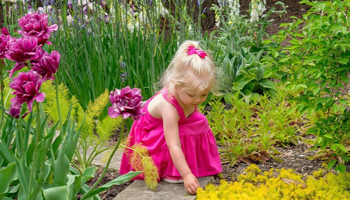 Child playing in the garden flower beds